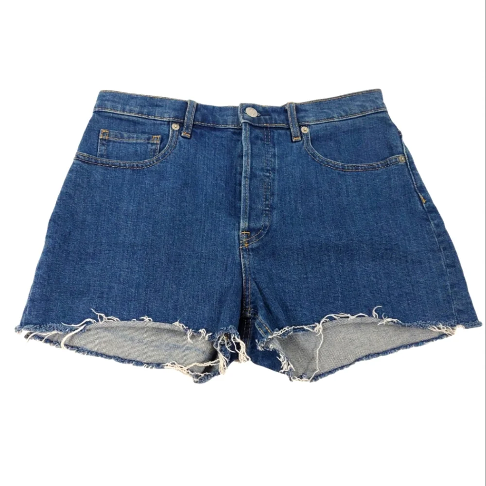 Everlane Checky Blue Button Fly Frayed Shorts
